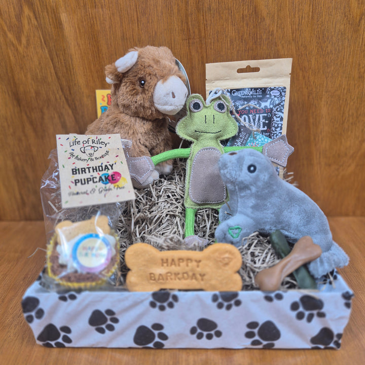 The Top Dog Birthday Box brings extra small dogs joy with a curated mix of toys and wholesome treats.