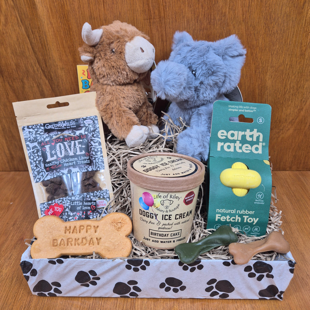 Celebrate senior extra small dogs with the Top Dog Birthday Box, filled with eco-friendly toys and natural treats.