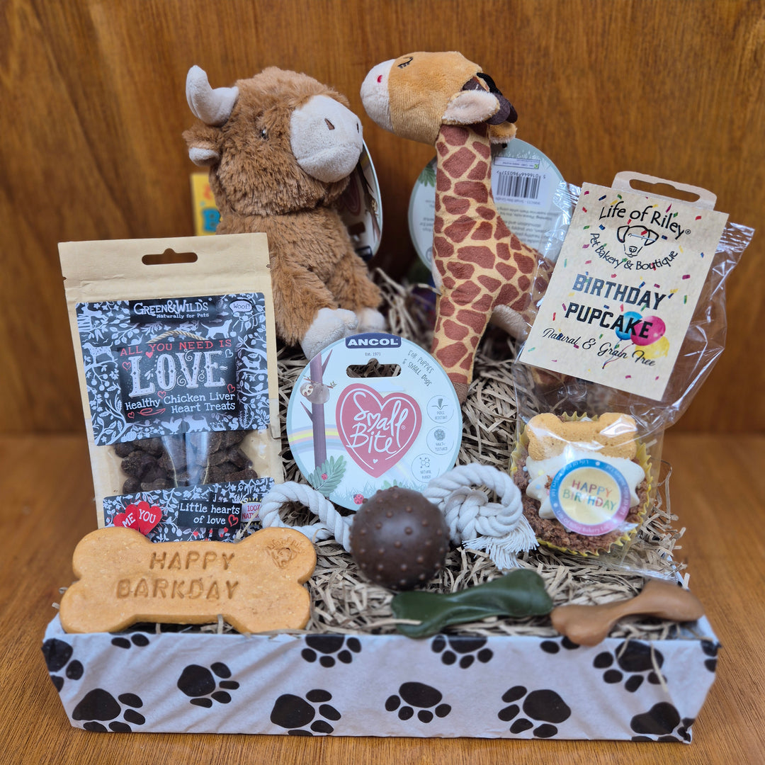 Collection of pet toys and accessories on a wooden surface, a birthday box for dogs by paw branch