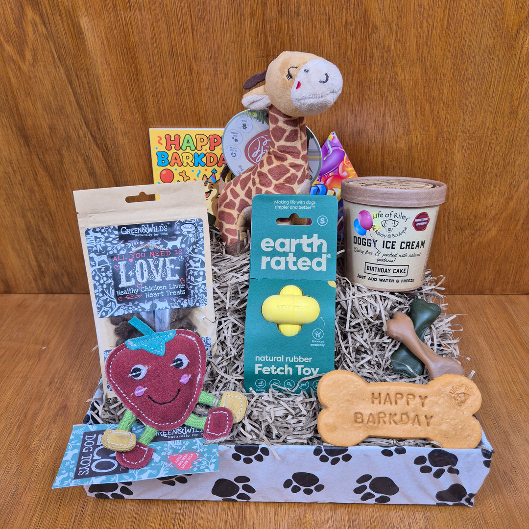 Dog  birthday gift basket with toys, treats, and a toy box on a wooden surface - Paw Branch