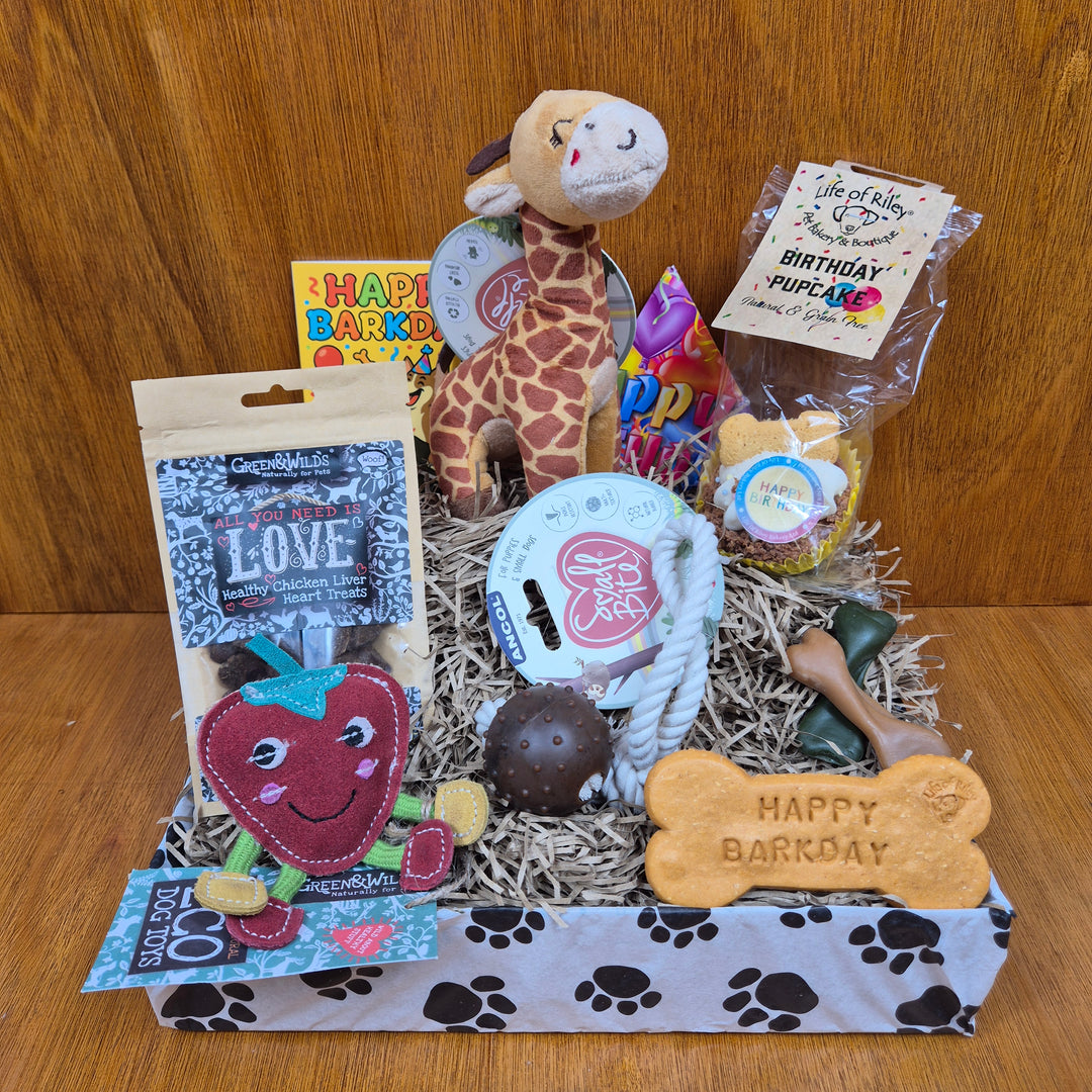Assorted dog toys and treats in a birthday box on a wooden surface
