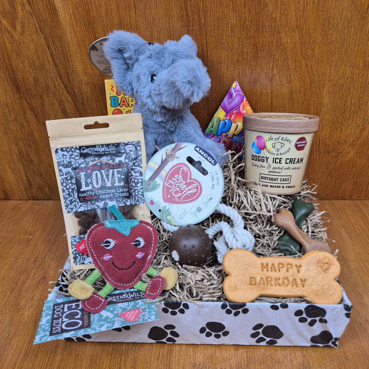 birthday box Collection of dog toys and treats on a wooden surface for extra small dogs - paw branch