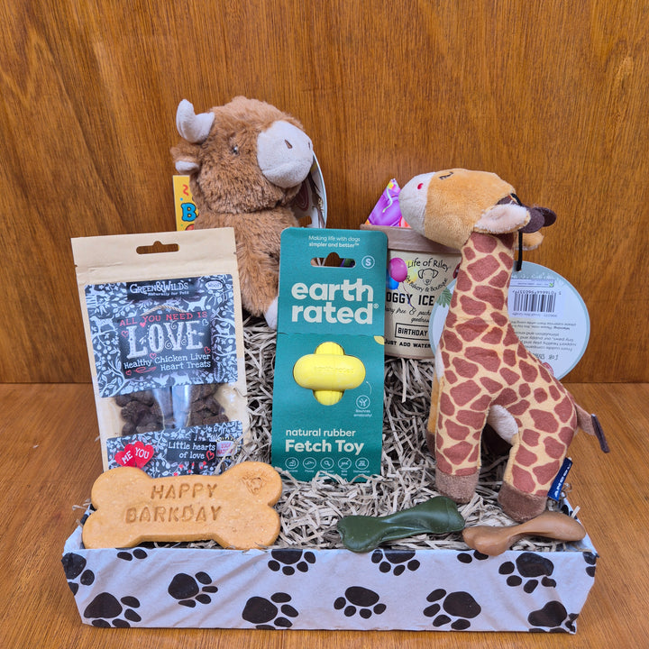 birthday box Collection of dog toys and treats on a wooden surface, supllied by paw branch