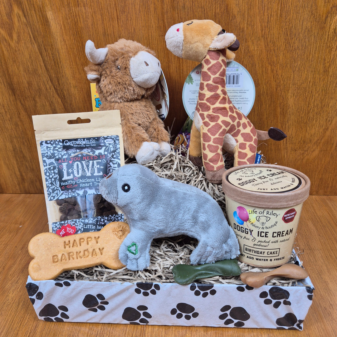 birthday gift box Collection of dog toys and treats on a wooden surface