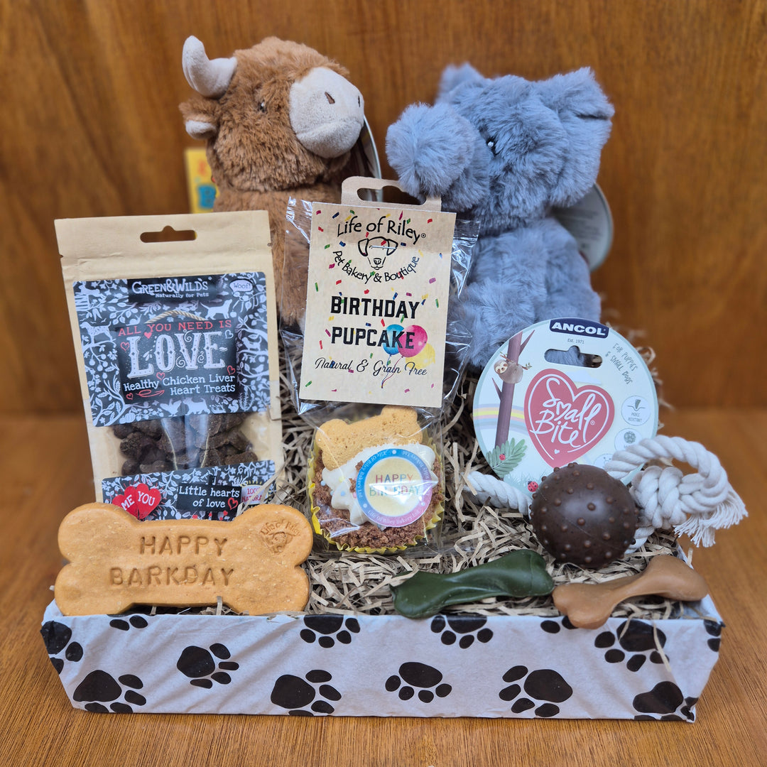 Collection of dog toys and treats on a wooden surface, top dog birthday box for extra small dogs.