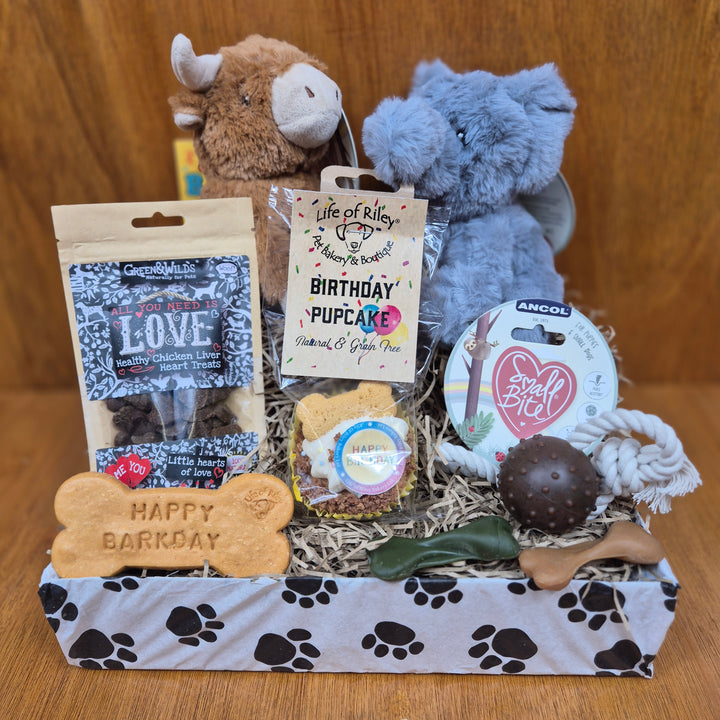Collection of dog toys and treats on a wooden surface, top dog birthday box for extra small dogs.