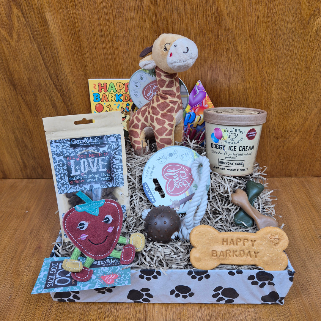 Dog-themed birthday gift box with various dog toys and treats on a wooden surface