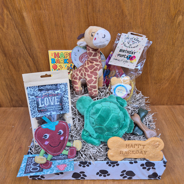 Deluxe Top Dog Birthday Box featuring eco toys and gentle treats made for senior extra small dogs.