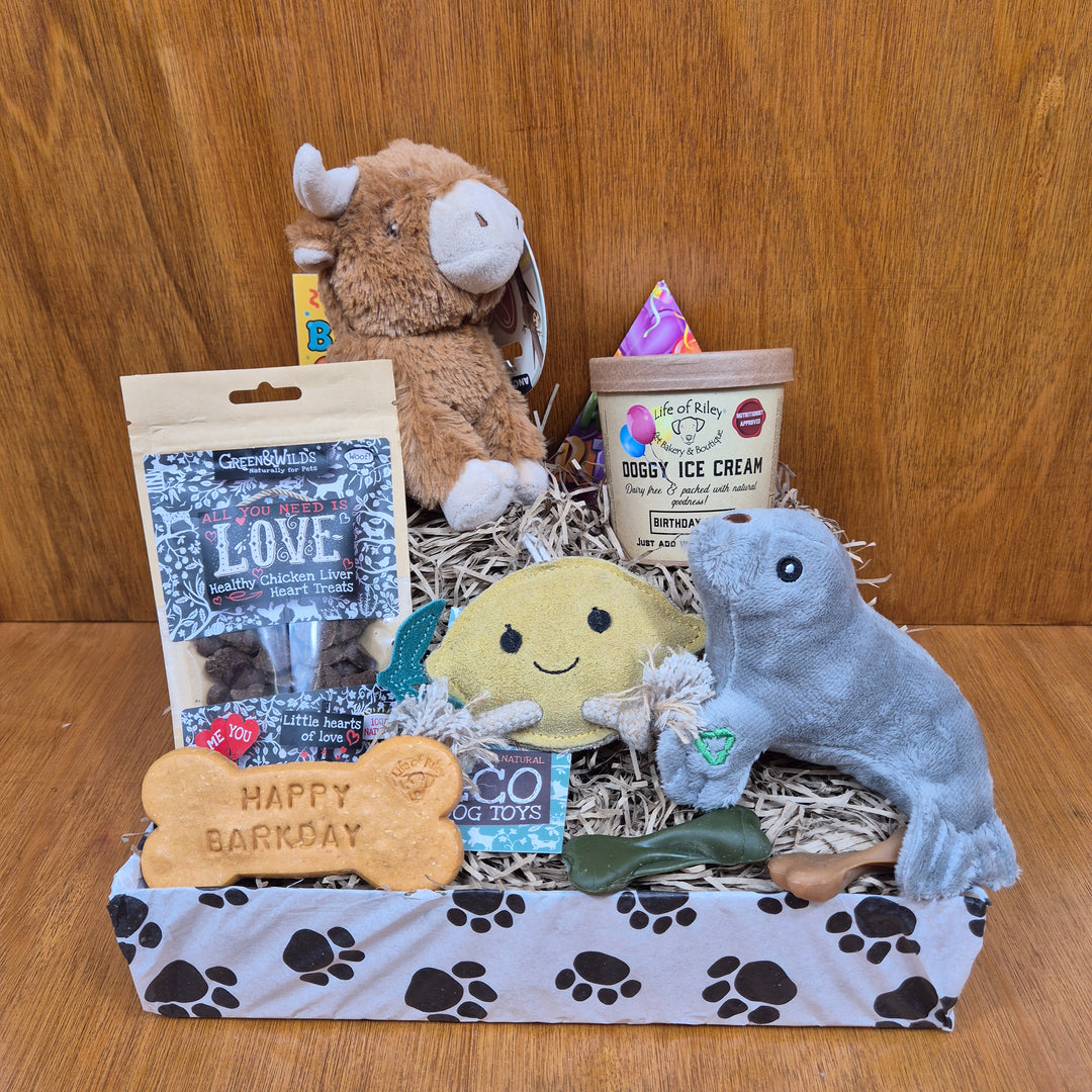 Eco-conscious Top Dog Birthday Box packed with toys and healthy treats for senior extra small dogs.