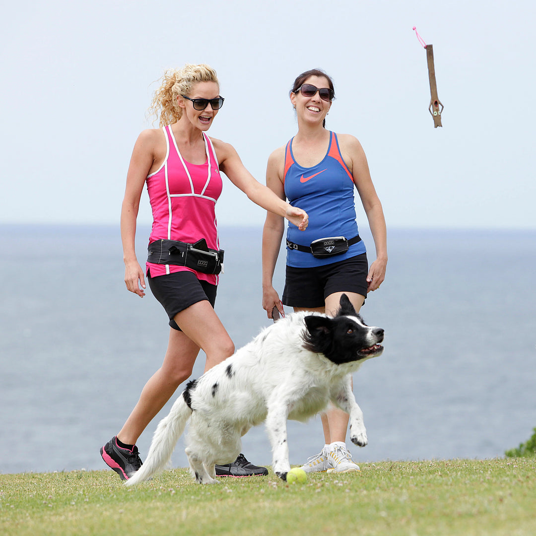 Dogs chasing the DOOG Woody stick toy being thrown outdoors near the coast, supplied by Paw Branch.