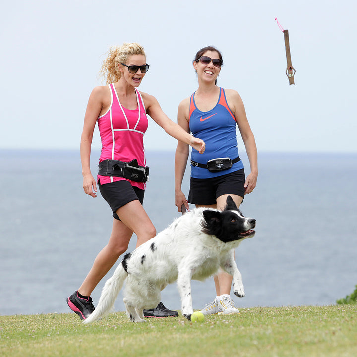 Dogs chasing the DOOG Woody stick toy being thrown outdoors near the coast, supplied by Paw Branch.