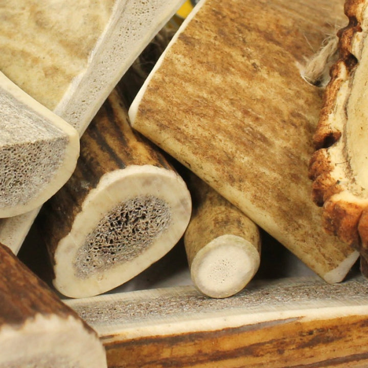 Close-up of stacked antlers with a focus on texture and color.