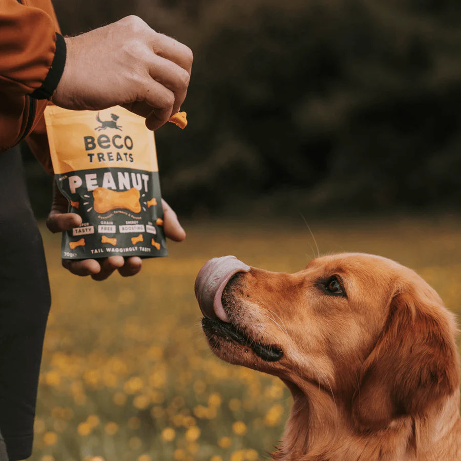 Beco Dog Treats Peanut 70g