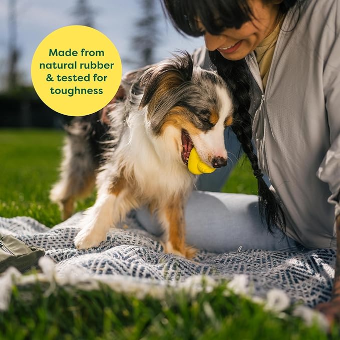 Person sitting on a blanket with a dog holding a yellow ball, outdoors.