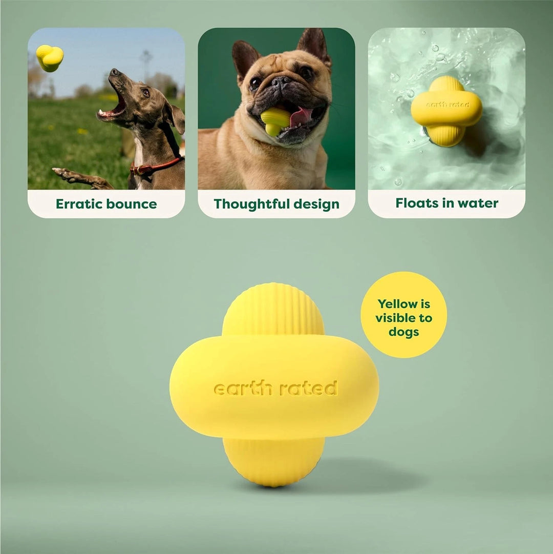 Image of explaining use of earth rated ball with different sized dogs on it