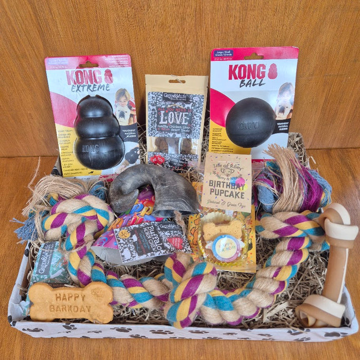 Power Chewer Dog Birthday Box – Large Sized Dogs (20–35kg)