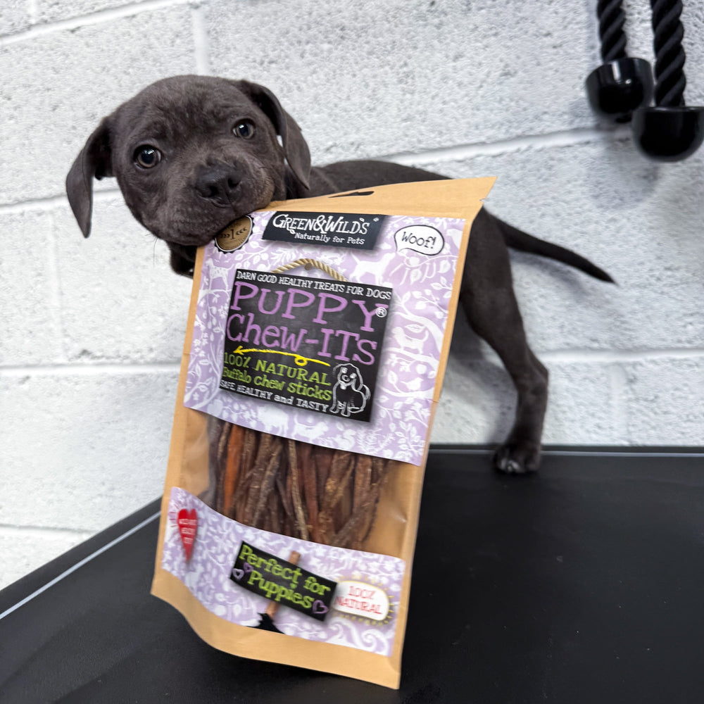 black puppy with a bag of green and wilds puppy chew its in it's mouth