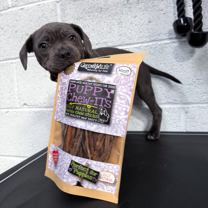 black puppy with a bag of green and wilds puppy chew its in it's mouth