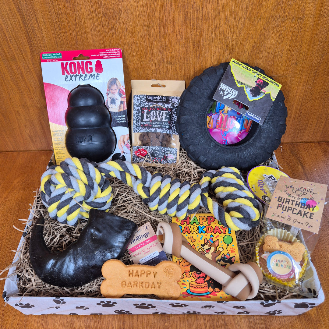 Power Chewer Dog Birthday Box – Extra Large Sized Dogs (35kg+)