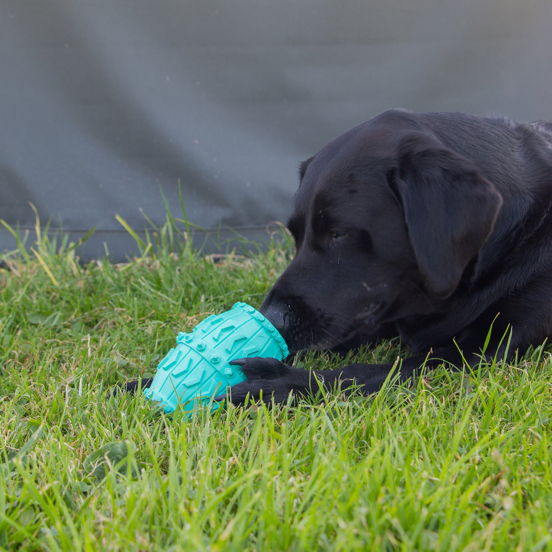 Close up of the ANCOL Örva Treat Barrel showing its textured surface and treat-dispensing opening, supplied by Paw Branch.