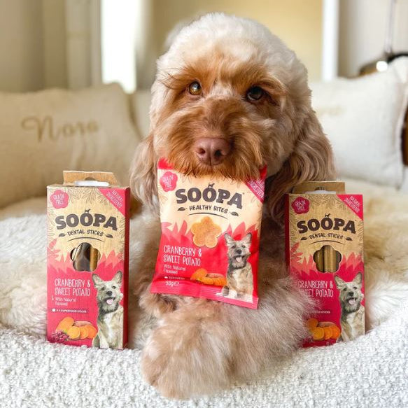 Dog holding a Soopa pet food package on a bed with more packages in the background.